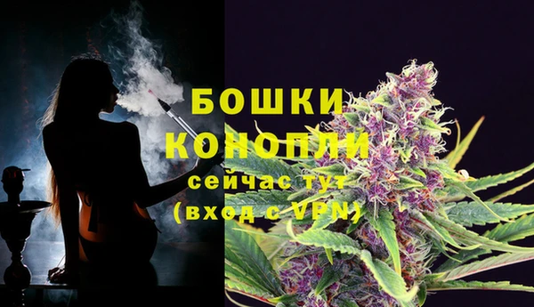 МДПВ Белокуриха