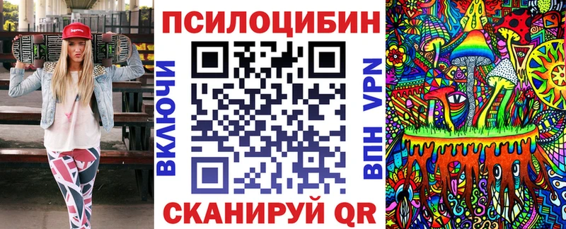 купить  цена  Верхний Уфалей  Галлюциногенные грибы Psilocybe 